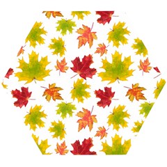 Bright Autumn Leaves Wooden Puzzle Hexagon by SychEva