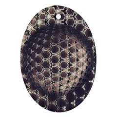 Trypophobia Oval Ornament (two Sides) by MRNStudios