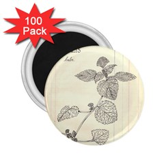 Lemon Balm 2 25  Magnets (100 Pack)  by Limerence