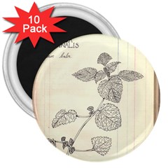 Lemon Balm 3  Magnets (10 Pack)  by Limerence