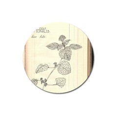 Lemon Balm Magnet 3  (round) by Limerence