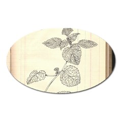 Lemon Balm Oval Magnet by Limerence