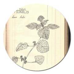 Lemon Balm Magnet 5  (round) by Limerence