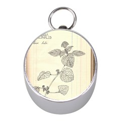 Lemon Balm Mini Silver Compasses by Limerence