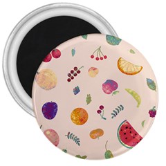 Summer Fruit 3  Magnets by SychEva