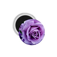 Roses-violets-flowers-arrangement 1 75  Magnets by Pakrebo