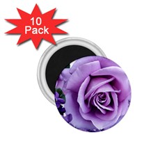 Roses-violets-flowers-arrangement 1 75  Magnets (10 Pack)  by Pakrebo