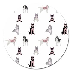 Husky Dogs With Sparkles Magnet 5  (round) by SychEva