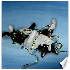 Christmas Cat Canvas 16  X 16  by Blueketchupshop