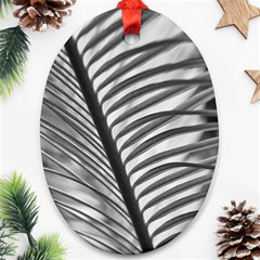 Cycas Leaf The Shadows Ornament (oval) by DimitriosArt