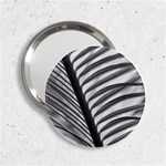 Cycas Leaf The Shadows 2.25  Handbag Mirrors Front