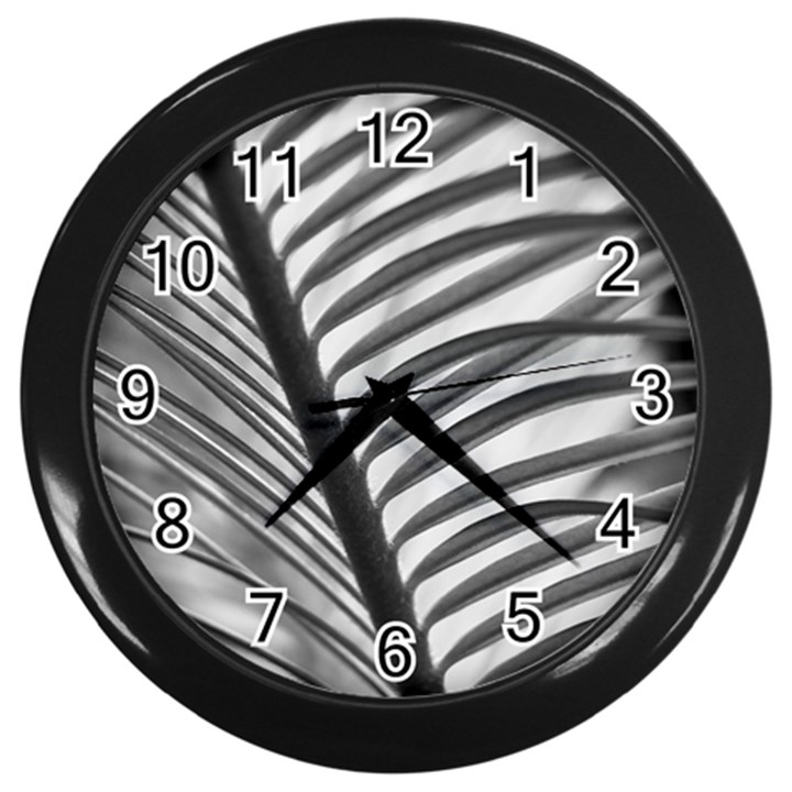 Cycas Leaf The Shadows Wall Clock (Black)