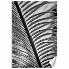 Cycas Leaf The Shadows Canvas 12  X 18  by DimitriosArt