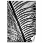 Cycas Leaf The Shadows Canvas 12  x 18  11.88 x17.36  Canvas - 1