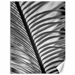 Cycas Leaf The Shadows Canvas 36  X 48  by DimitriosArt