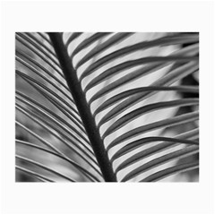 Cycas Leaf The Shadows Small Glasses Cloth (2 Sides) by DimitriosArt