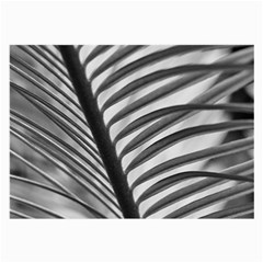 Cycas Leaf The Shadows Large Glasses Cloth by DimitriosArt