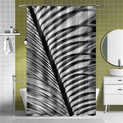 Cycas Leaf The Shadows Shower Curtain 48  X 72  (small)  by DimitriosArt