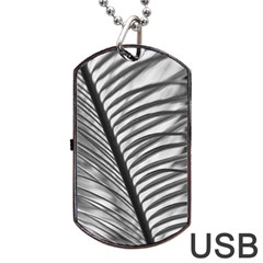 Cycas Leaf The Shadows Dog Tag Usb Flash (one Side) by DimitriosArt