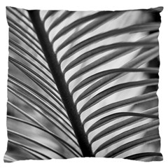 Cycas Leaf The Shadows Standard Flano Cushion Case (one Side) by DimitriosArt