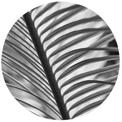 Cycas Leaf The Shadows Wooden Bottle Opener (round) by DimitriosArt