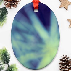 Cold Stars Ornament (oval) by DimitriosArt