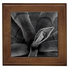 The Agave Heart Framed Tile by DimitriosArt