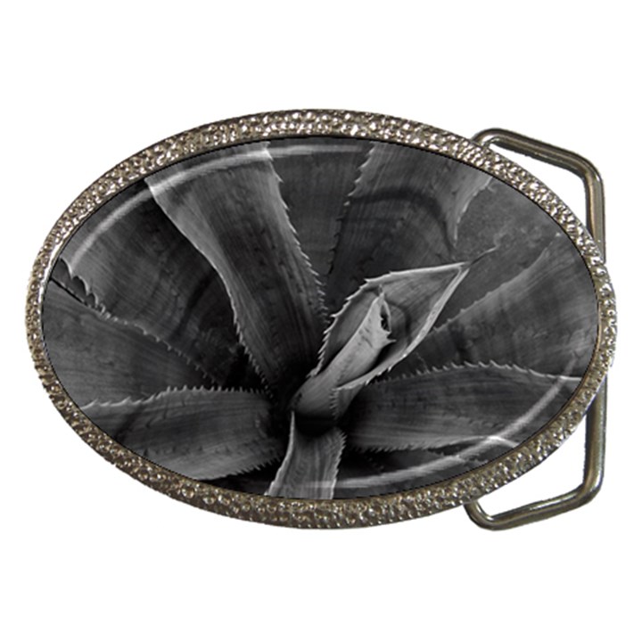 The Agave Heart Belt Buckles