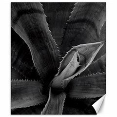 The Agave Heart Canvas 20  X 24  by DimitriosArt