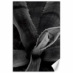 The Agave Heart Canvas 24  X 36  by DimitriosArt