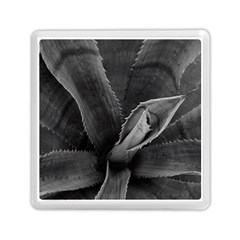 The Agave Heart Memory Card Reader (square) by DimitriosArt