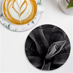 The Agave Heart UV Print Round Tile Coaster Front