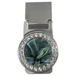 The Agave Heart Under The Light Money Clips (CZ)  Front