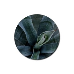 The Agave Heart Under The Light Rubber Coaster (round) by DimitriosArt