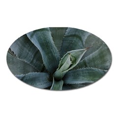 The Agave Heart Under The Light Oval Magnet by DimitriosArt