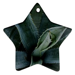 The Agave Heart Under The Light Star Ornament (two Sides) by DimitriosArt