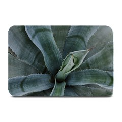 The Agave Heart Under The Light Plate Mats by DimitriosArt