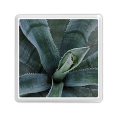 The Agave Heart Under The Light Memory Card Reader (square) by DimitriosArt