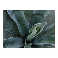 The Agave Heart Under The Light Double Sided Flano Blanket (mini)  by DimitriosArt