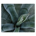 The Agave Heart Under The Light Double Sided Flano Blanket (Small)  50 x40  Blanket Back