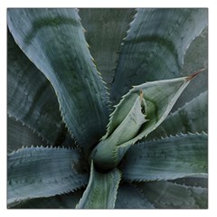 The Agave Heart Under The Light Large Satin Scarf (square) by DimitriosArt