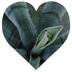 The Agave Heart Under The Light Wooden Puzzle Heart by DimitriosArt