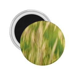 Golden Grass Abstract 2 25  Magnets by DimitriosArt