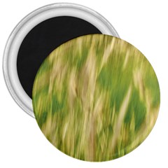 Golden Grass Abstract 3  Magnets by DimitriosArt