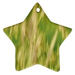 Golden Grass Abstract Ornament (Star) Front