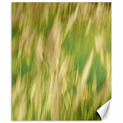 Golden Grass Abstract Canvas 8  X 10  by DimitriosArt