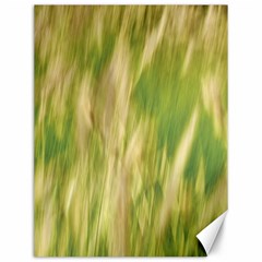 Golden Grass Abstract Canvas 12  X 16  by DimitriosArt