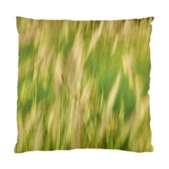 Golden Grass Abstract Standard Cushion Case (two Sides) by DimitriosArt