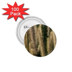 Fountain Grass Under The Sun 1 75  Buttons (100 Pack)  by DimitriosArt