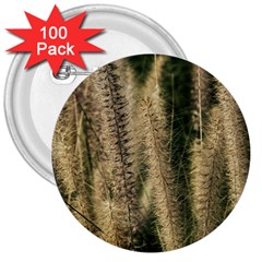 Fountain Grass Under The Sun 3  Buttons (100 Pack)  by DimitriosArt